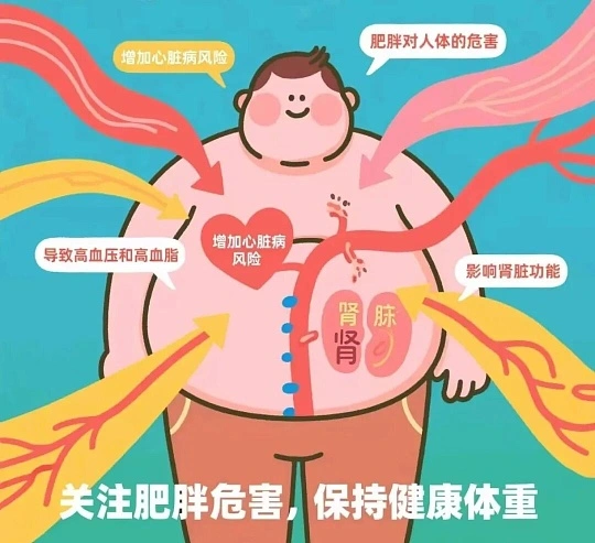 微信图片_20260509152940_53_8